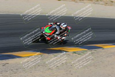 media/Feb-04-2023-SoCal Trackdays (Sat) [[8a776bf2c3]]/Turn 6 Inside (1025am)/